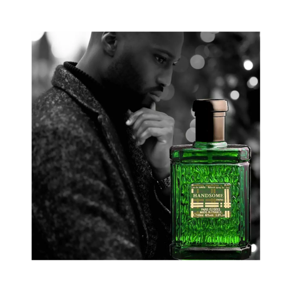 Perfume Masculino Handsome Paris Elysees Eau de Toilette - 100ml